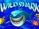 Wild Shark Pelican Casino